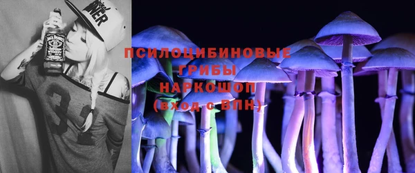 mdpv Бородино