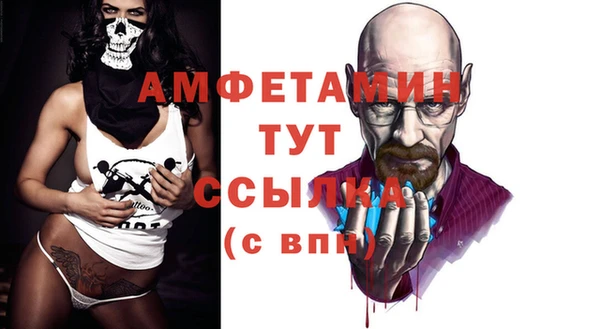 mdpv Бородино