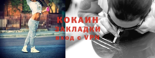 дживик Богородск