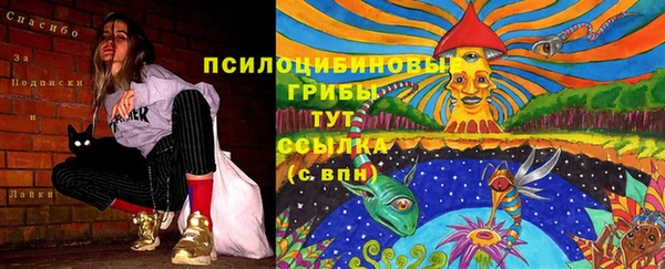 марки lsd Белокуриха