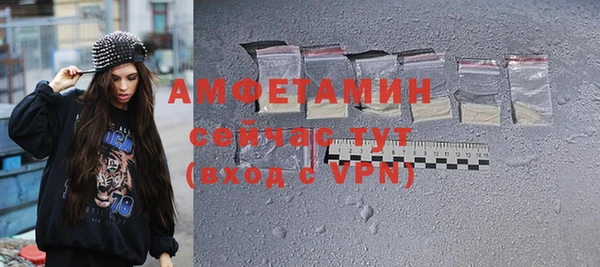 mdpv Бородино
