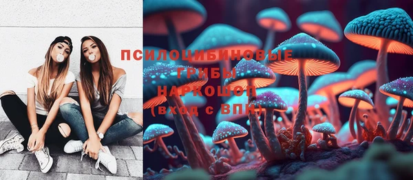 mdpv Беломорск